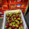 Indonesian Premium 6A Mangosteen-7.5kg - Image 2