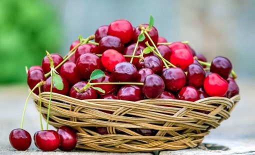 Russian Cherry No. 8-Approx. 2.5kg - Image 5