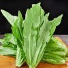 RedMart Yau Mak Chye (Xiang Mai)-2kg