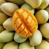 Thailand R2E2 Mango-12pcs - Image 3