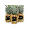 Philippine SW Deluxe Pineapple-3Pineapple